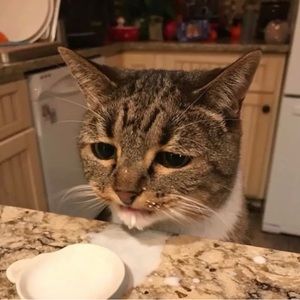 Meet your Posher, Aubrey